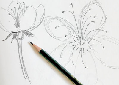 Sketchbook Flowers
